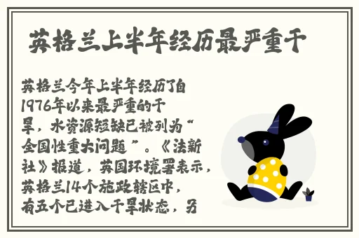 幼儿hiphop仙踪网最新消息